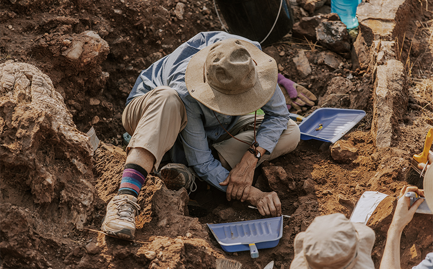 Sterkfontein Paleotour